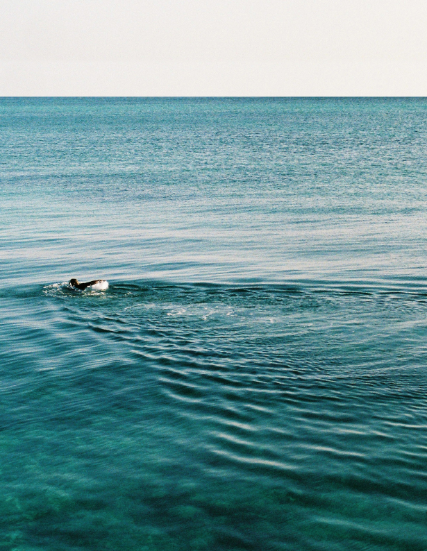 swimming in the Indian Ocean off the coral coast